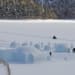 eschimesi igloo 1024x682 1
