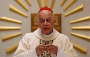 cardinale francis george 609892 tn 300x189 1 2