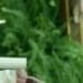 cardinale obrien 675 300x122 1