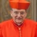 Raymond Leo Burke e1597312989342 900x600 1