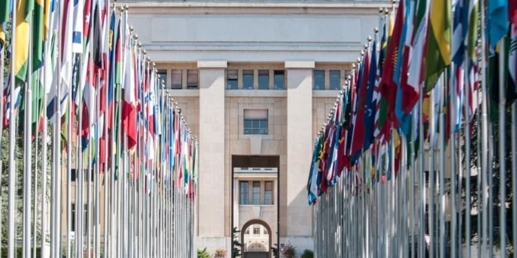 Geneva Blog W 1001