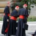 pape francois cardinaux 2