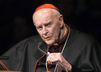 0e6ddf3e 0bb1 11e9 b69a f706510b3d10 Vatican Sex Abuse 22244jpg 07b60 1546019679 14682 kxXC U11201659399792GRC 1024x576@LaStampa.it