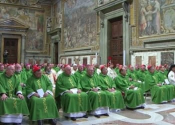 Incontro abusi in Vaticano Papa Francesco dinanzi al mistero del male proteggere i piccoli dai lupi voraci articleimage 2