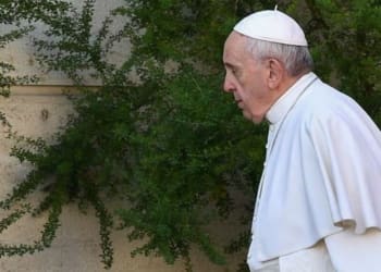Papa Francesco 1300