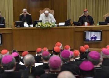papa francesco summit pedofilia 104952.660x368