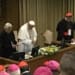 vatican sex abuses summit