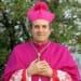 mons domenico sigalini