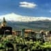 Randazzo Image i 750