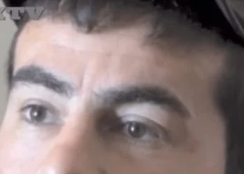 luis 2