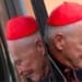 theodore mccarrick.png fdetail 558h720w1280pfhw875d6d5