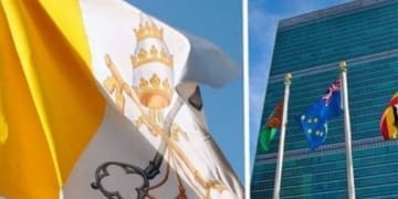 vaticano onu large