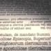 Immagine 2024 09 22 185349