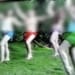 Immagine 2024 06 07 112413