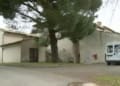 Immagine 2024 06 19 095719