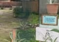 211767 Nessuna violenza sessuale sul minore ospite della comunita assolti il sacerdote e lex seminarista 1721396089