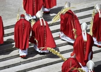 8433510 23123140 cardinali palme