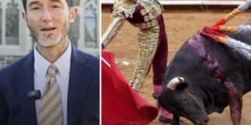 Immagine 2026 01 06 105842